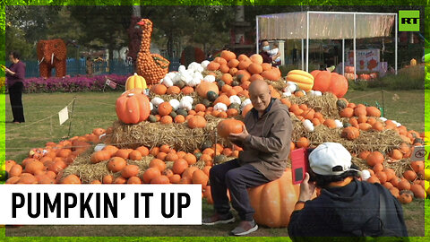 Pumpkin art featured at Beijing festival