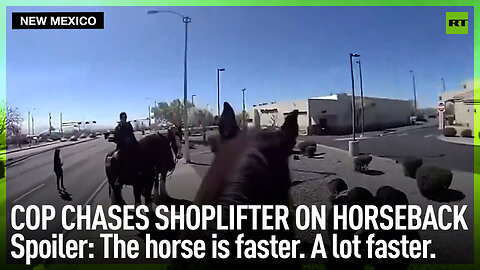 Cop chases shoplifter on horseback