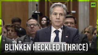 'You’re a war criminal!’ | Blinken heckled during Senate budget hearing