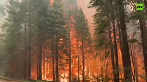 Northern California’s Park Fire reawakens