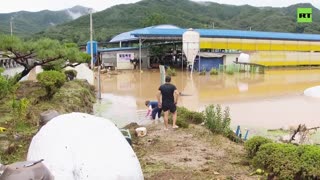 Tropical storm leaves trail of damage in South Korea