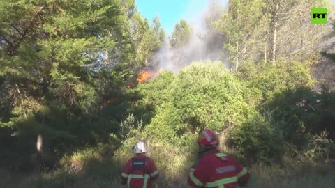 Portuguese firefighters battle forest fires in Cascais