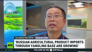 'Russian products are supplied to China in large quantities through the base in Yangling' - Li Duan