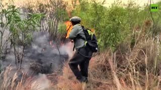 Firefighters Battle Devastating Argentinian Blaze