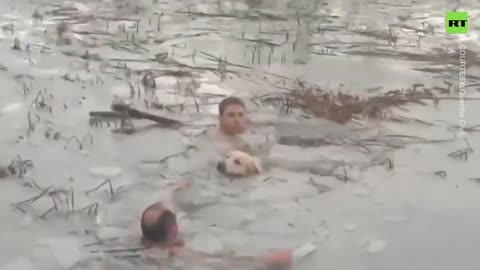 Spanish cops SMASH through frozen pond to rescue trapped dog