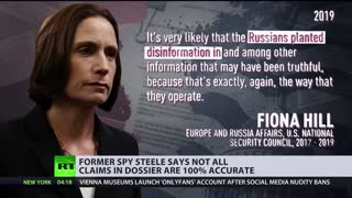 Stainless Steele dossier? Former British spy speaks out in public