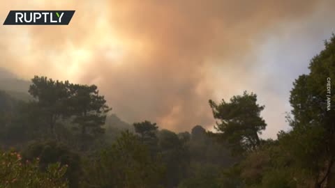Aircraft deployed to fight wildfires on Greece’s Samos