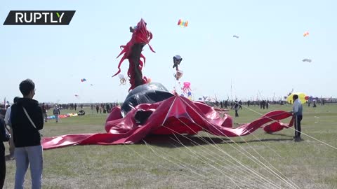 Thousands of kites take to the sky at Weifang festival in China