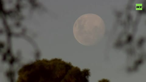 Not just another Super Moon, but a Super BLOOD Moon rises over Buenos Aires!