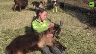 Remote schooling...among mountain peaks and goats