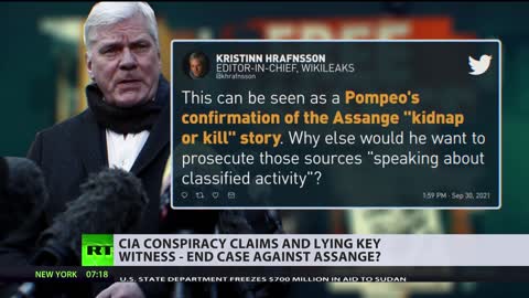 Assange saga | CIA conspiracy claims & lying key witness – case closed?