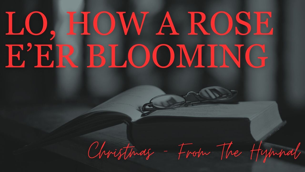 LO, HOW A ROSE E’ER BLOOMING/ /Christmas - From The Hymnal/ /Acoustic Cover by Derek Charles Johnson