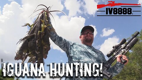 IGUANA HUNTING in West Palm Beach with Caza Y Pesca!