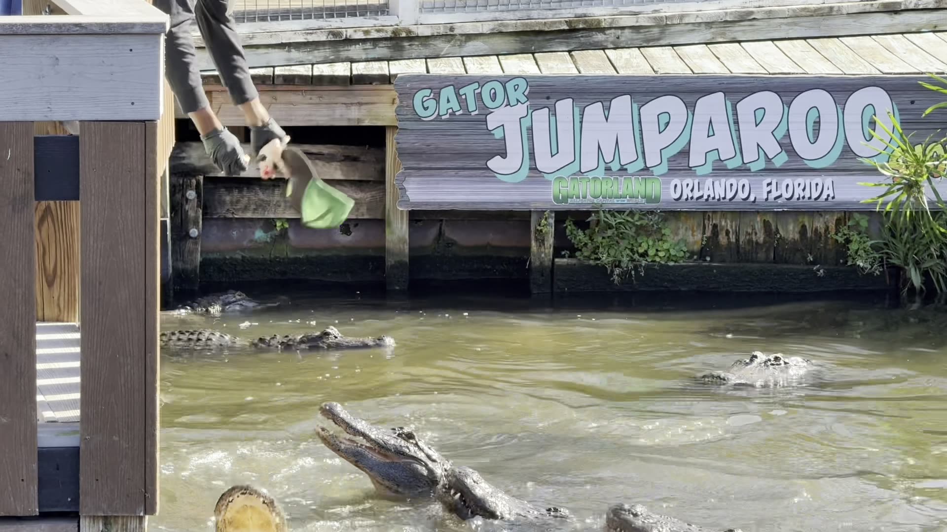Viva Family Visits Floridas Gatorland! It Was AWESOME!