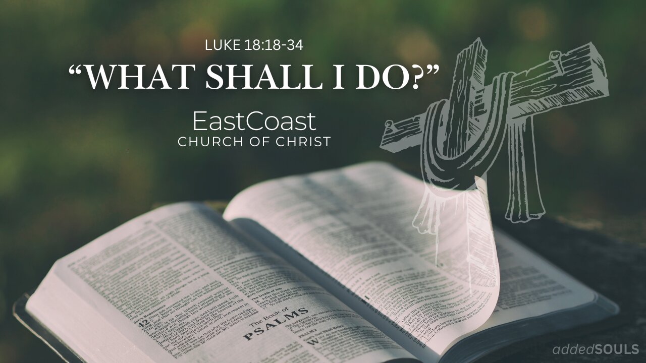 What Shall I Do? (02/16/2025)