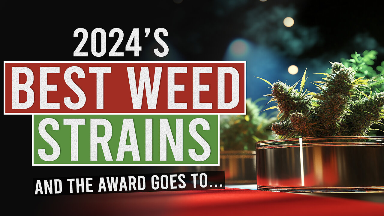 Unveiling 2024s Award-Winning Cannabis Strains!