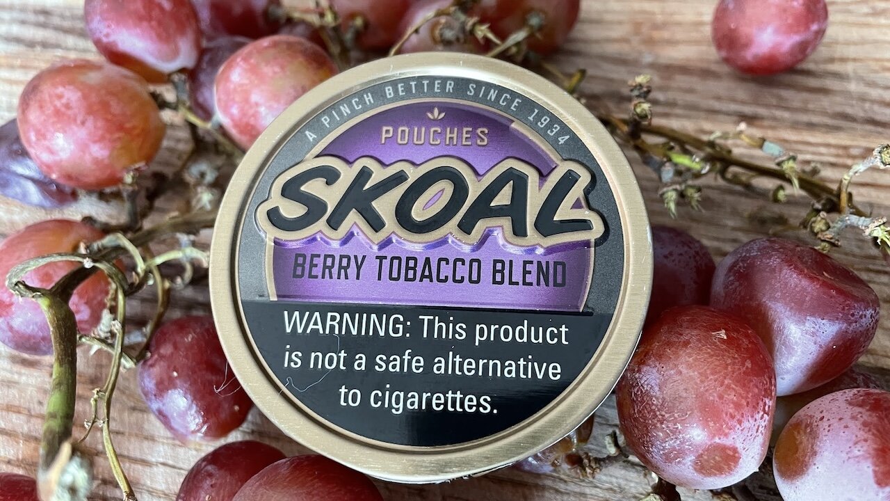 Skoal Berry (American Moist Snuff/Dip) Pouches