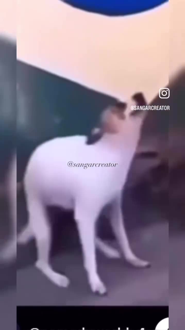 Guiiknn