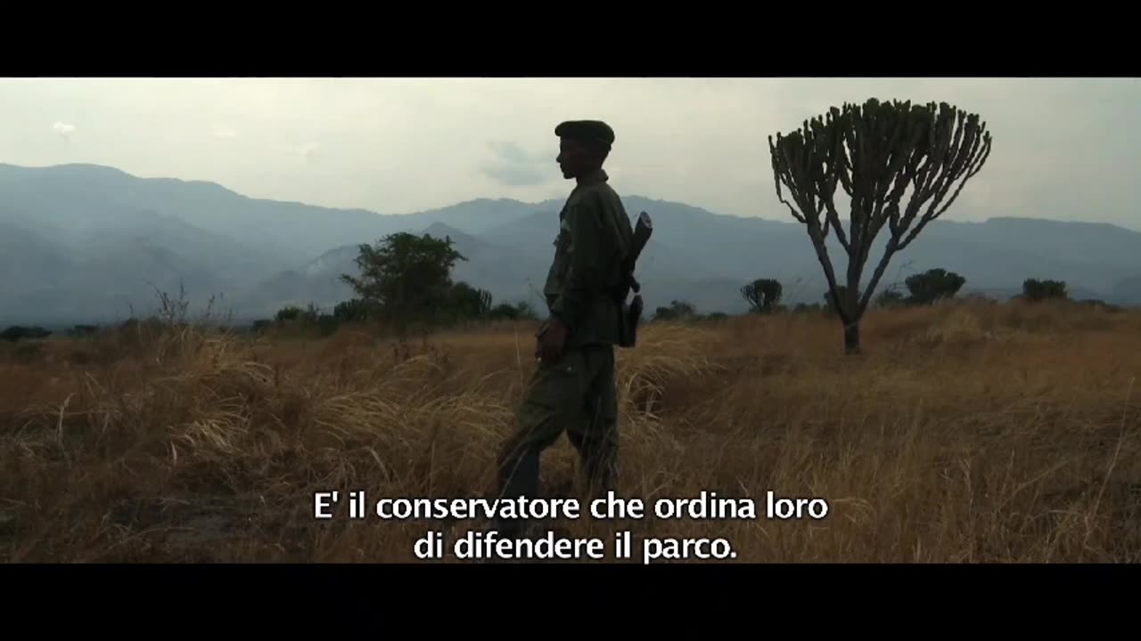COLONIALISMO ecologico nel cuore dellAFRICA Animal Park #Congo