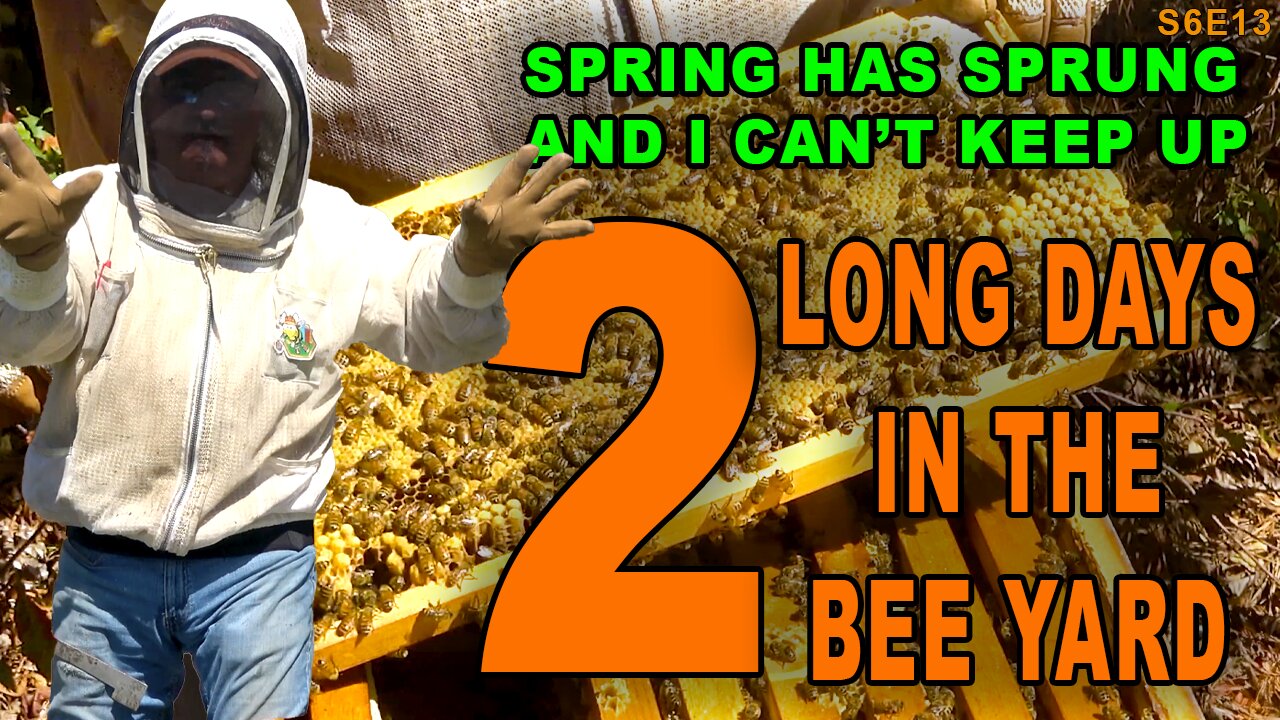 Two LONG days in the bee yard preparing for new queens. Grab a snack, Its a long video.