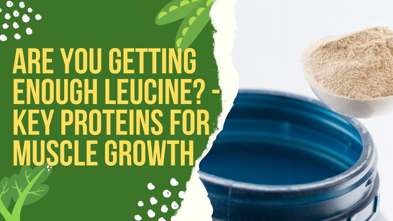 Are You Getting Enough Leucine? - Key Proteins for Muscle Growth