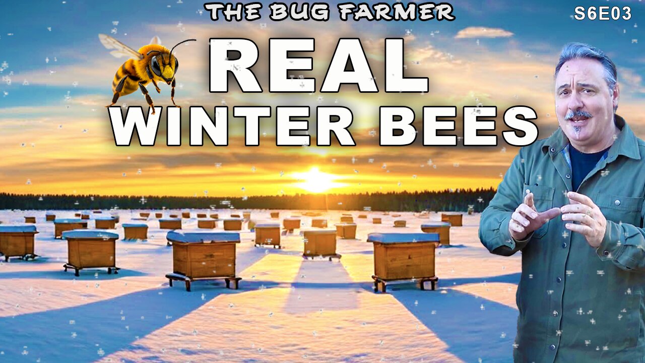 Real Winter Bees | Snow day in the apiary.