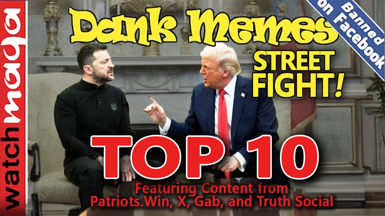 Street Fight: TOP 10 MEMES