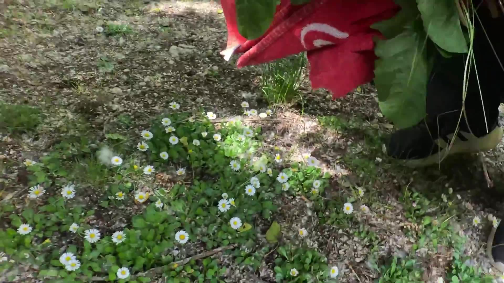 Mira como me lanzo en el pozo azul