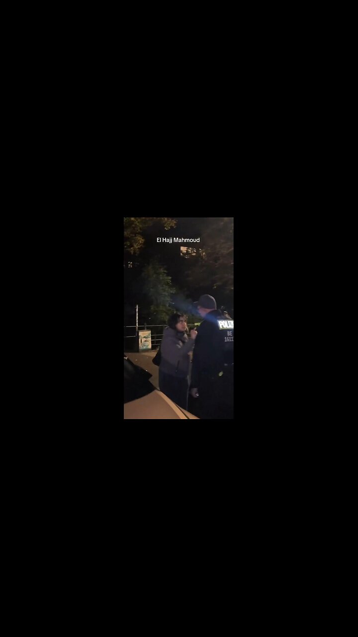 Woman defies German police orders to stay out of the street. Calls one a IDIOT - FAFO