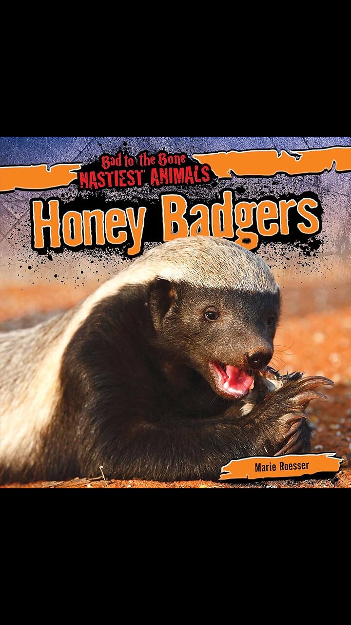 Honey Badger Dont Care