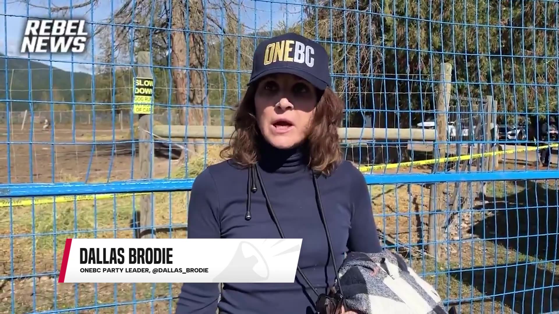 Where are you?: OneBC leader Dallas Brodie calls out David Eby and John Rustad over ostrich cull
