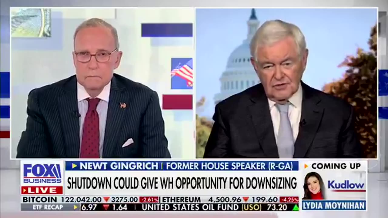 Newt Gingrich & Larry Kudlow say Dems ARE ENGAGED IN INSURRECTION