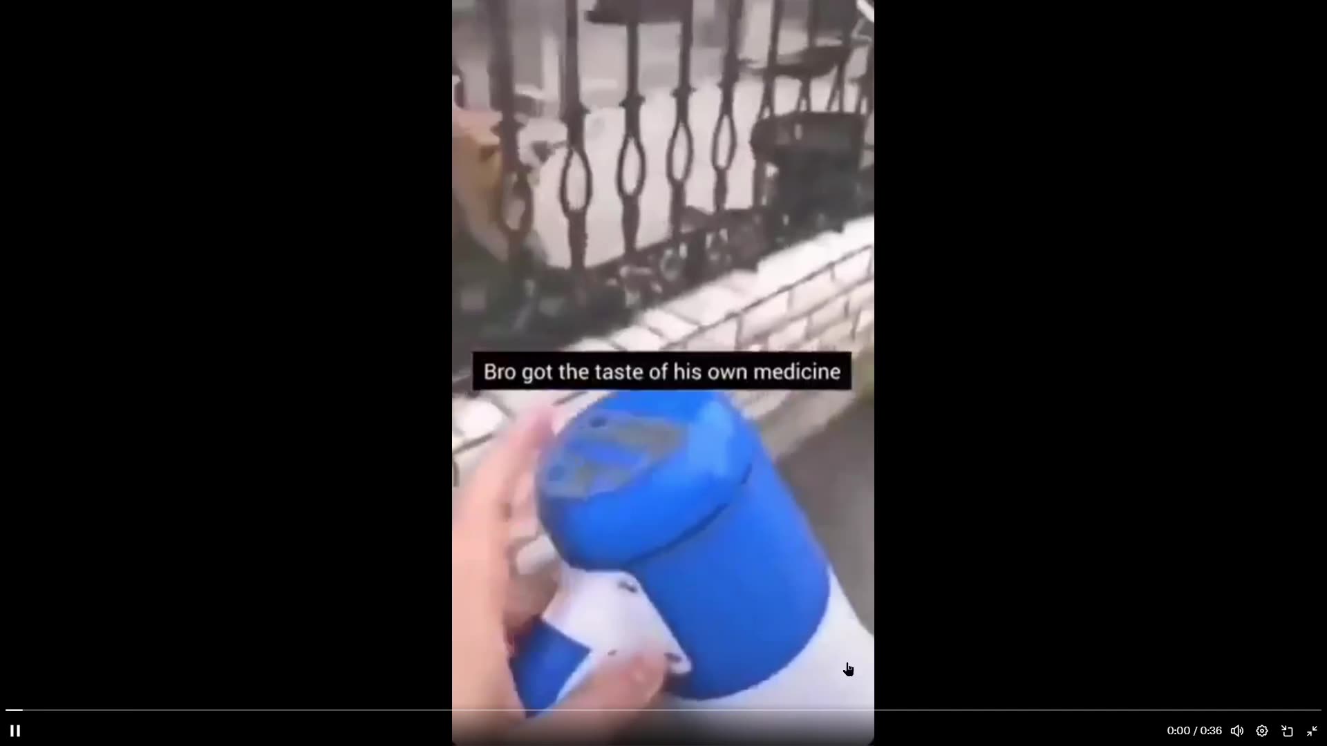 Dog barking... well hows this for an idea....record him and play it back