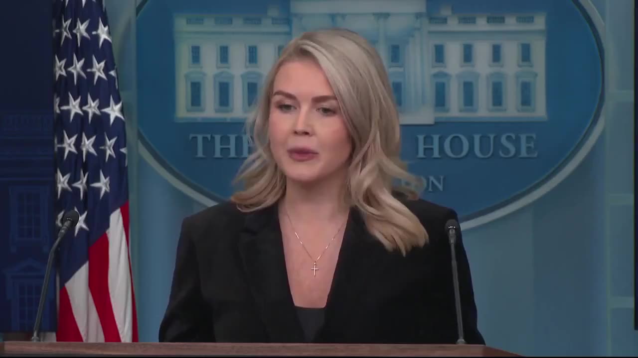 Karoline Leavitt just went NUCLEAR on the Democrat officials
