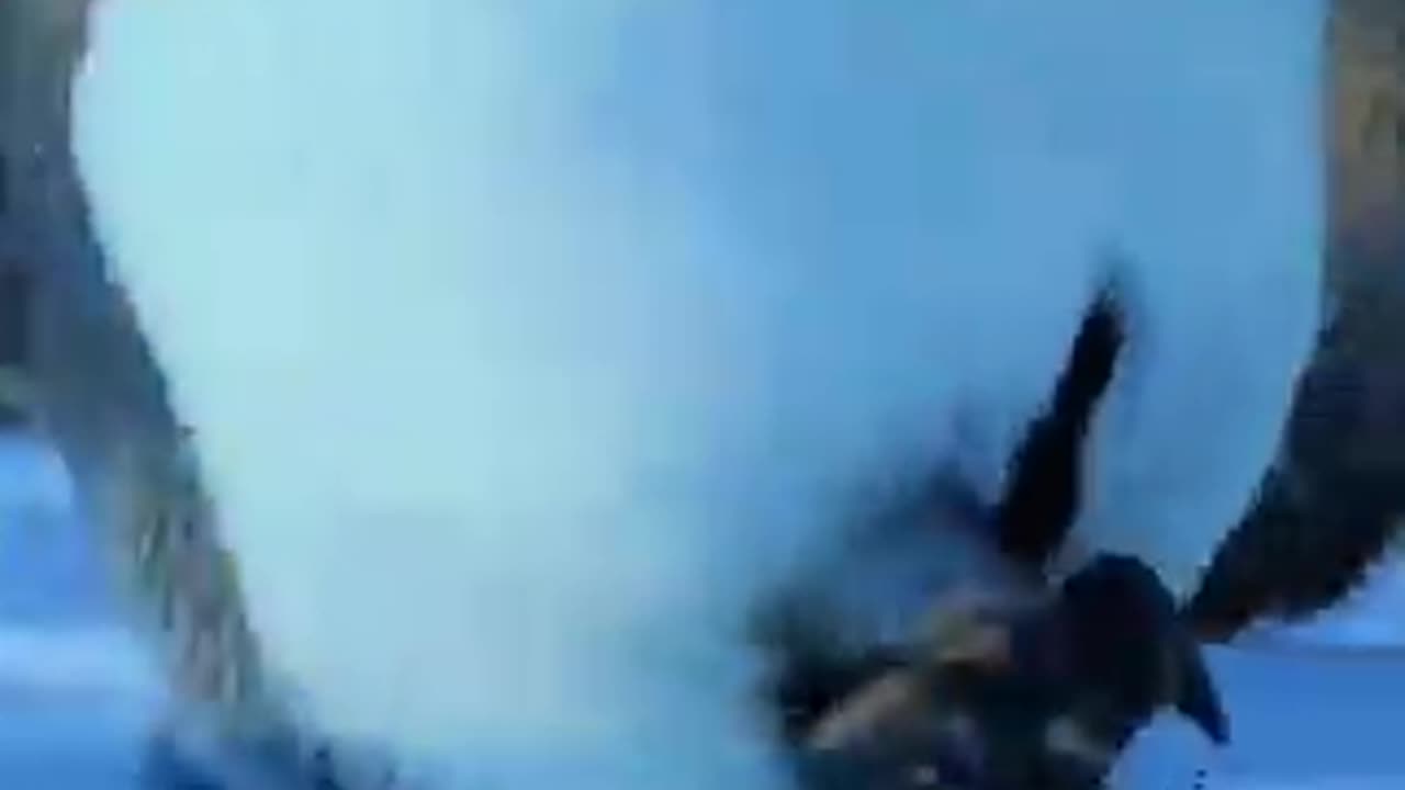 When the BBC wildlife crew broke the no intervention rule to save trapped penguin