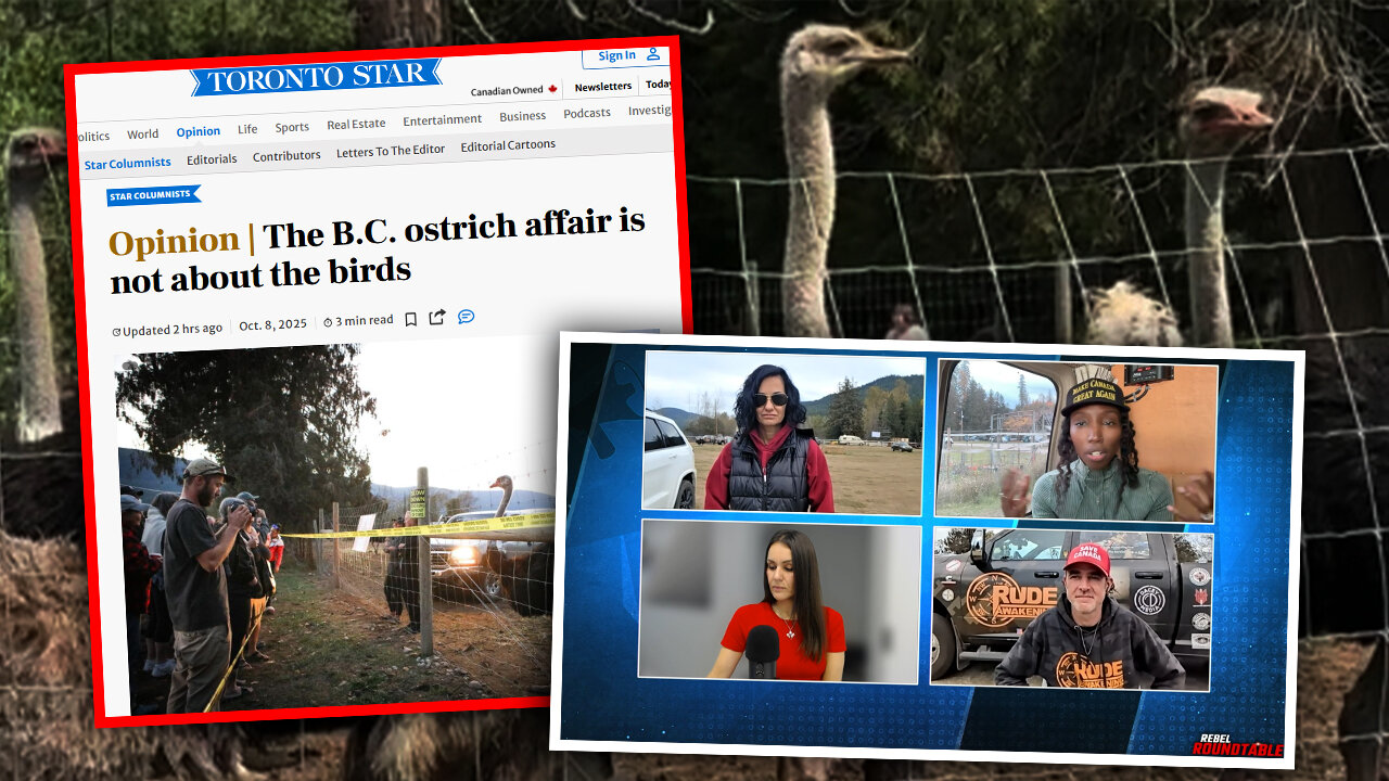 Mainstream media admits ostrich cull is about curbing anti-government belief — not science