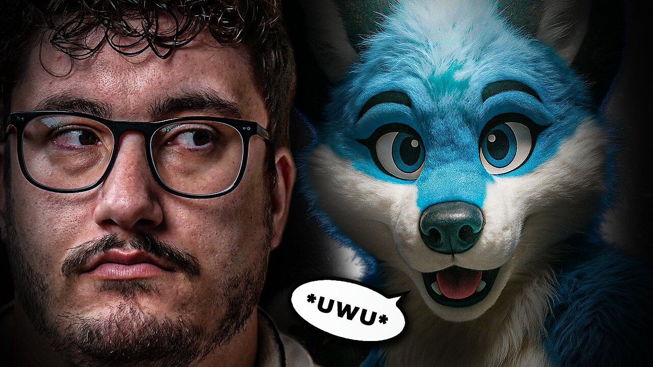 Financial Audits First Furry