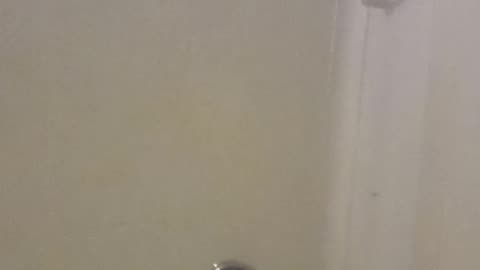 🧿This Intuitive Transmission Comes with A Triple Trigger Warning ⚠ 🛁🚿🌱