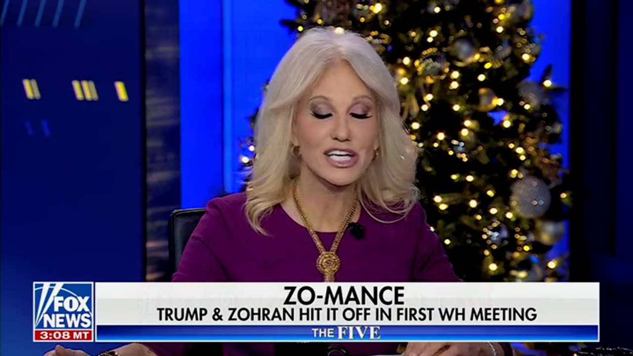 Kellyanne Conway Explains Why Mamdani Would Have Done Better Saying No To Meeting Trump