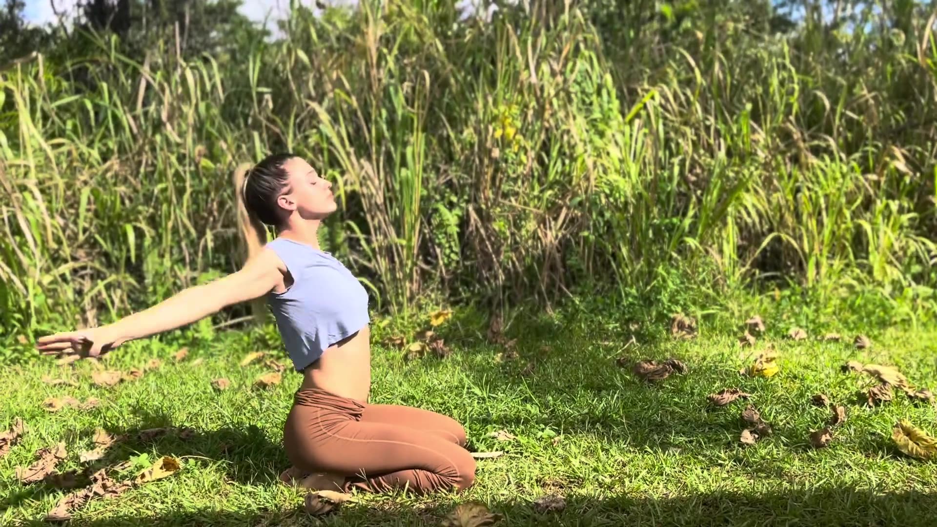 ABUNDANCE SUN FLOW