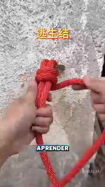 Nudos que salvan vidas - Tienes que saber esto