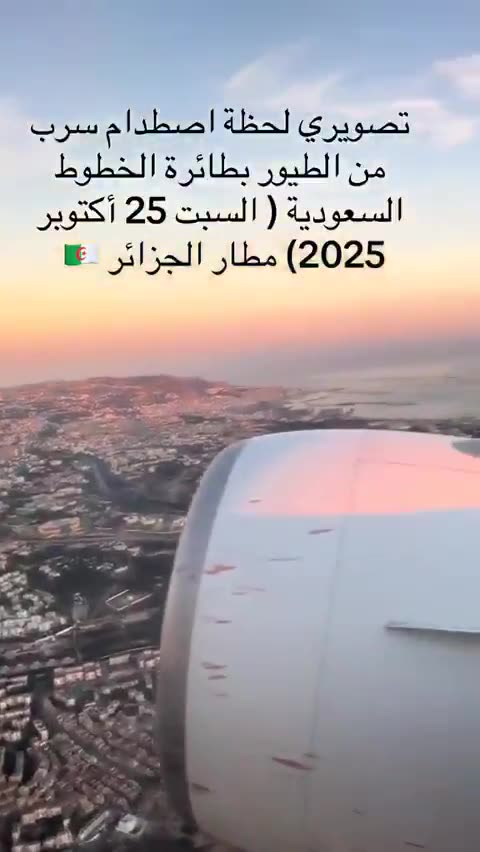 Flock of birds smash into a plane during takeoff from Algeria