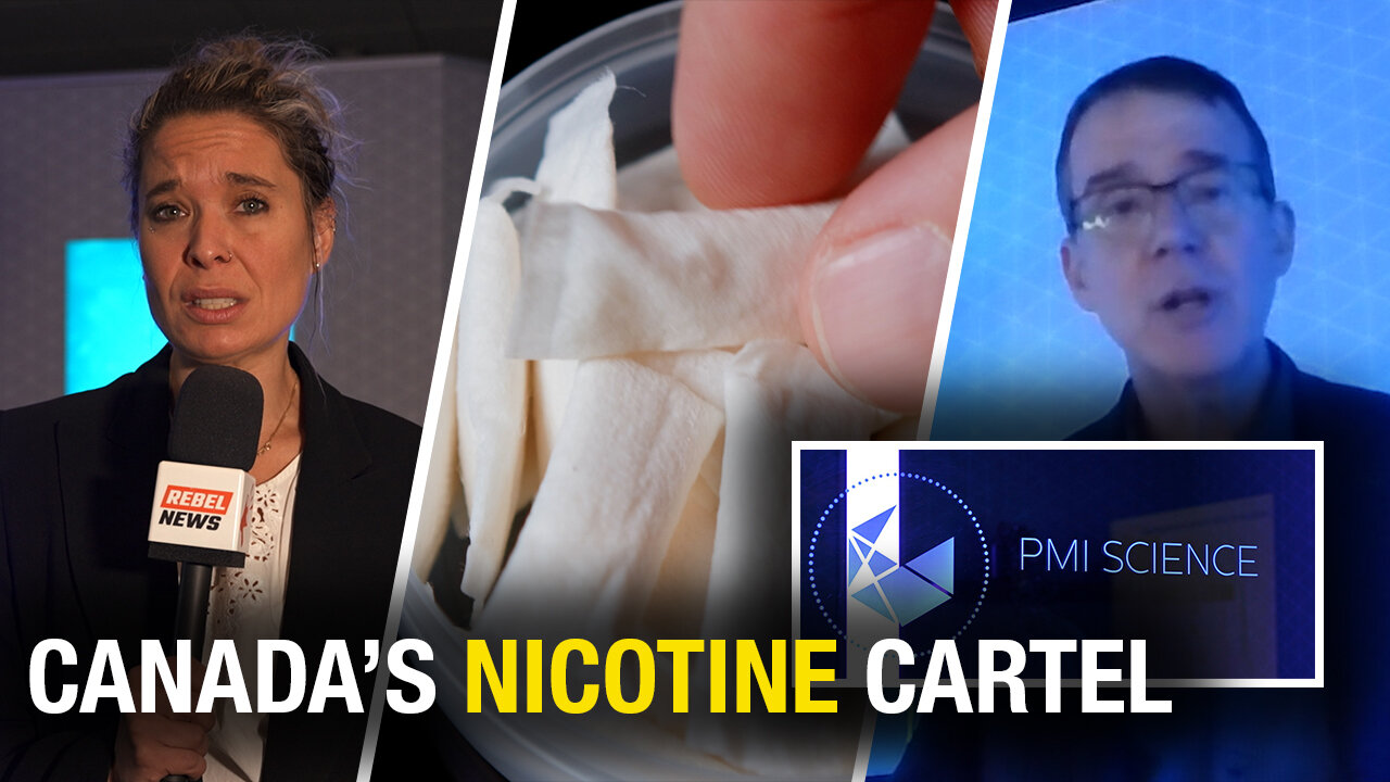 Expert says Canada is behind on nicotine pouch access despite global shift to smoke-free products