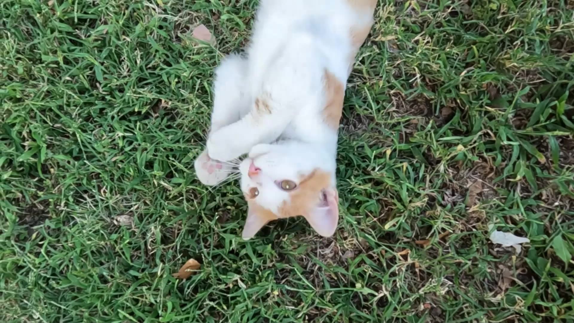 Hes a FUN GUY!