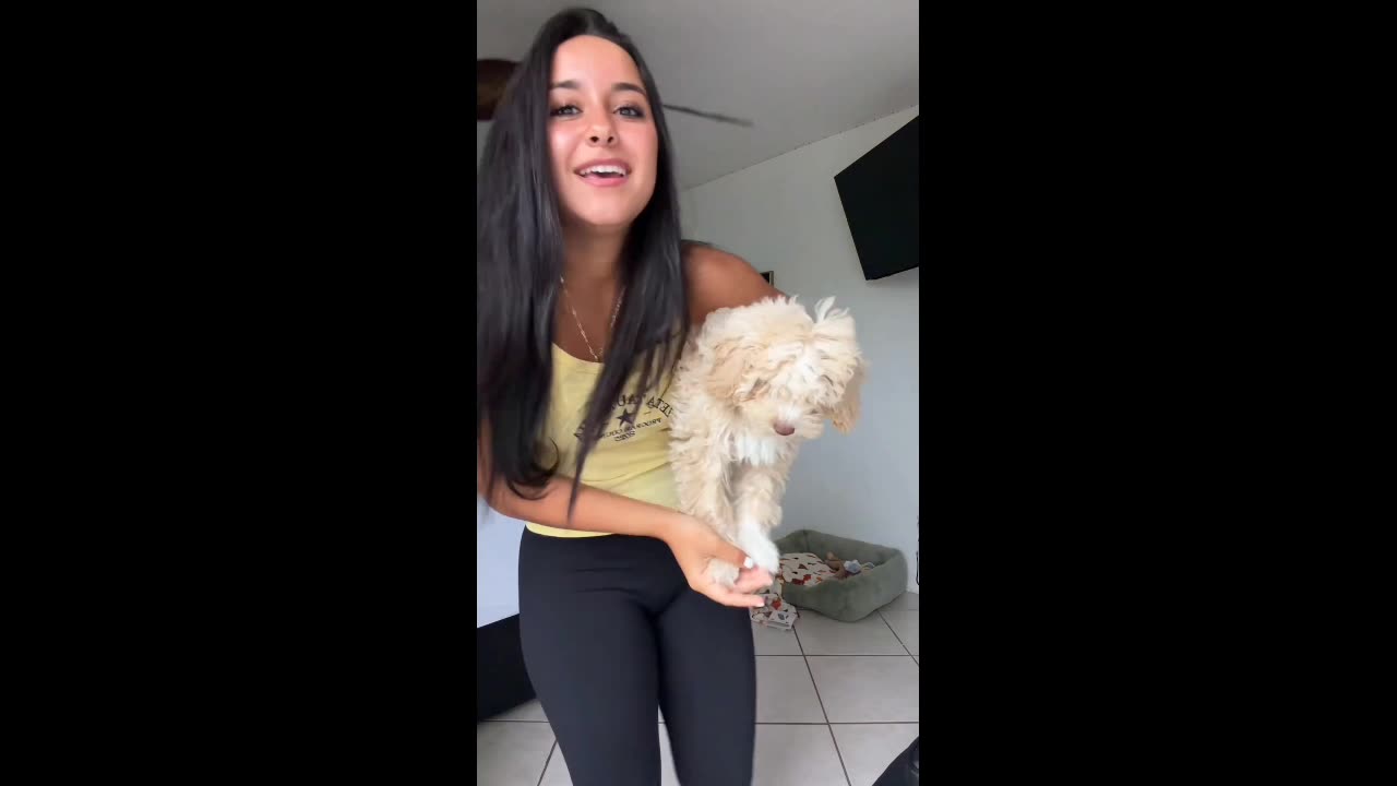 ๐ถ Cute Lil Pup ๐๐