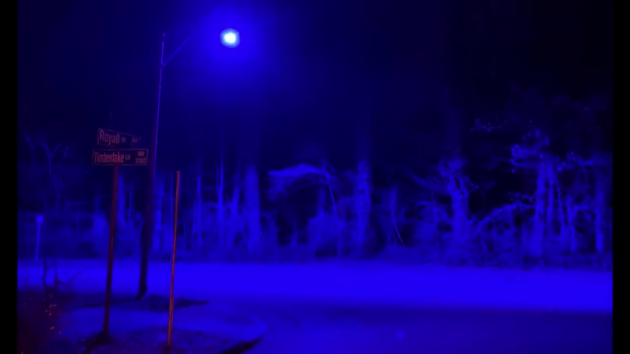 The Purple Lights Are Back...And They`re Creepier Than You Think ￼