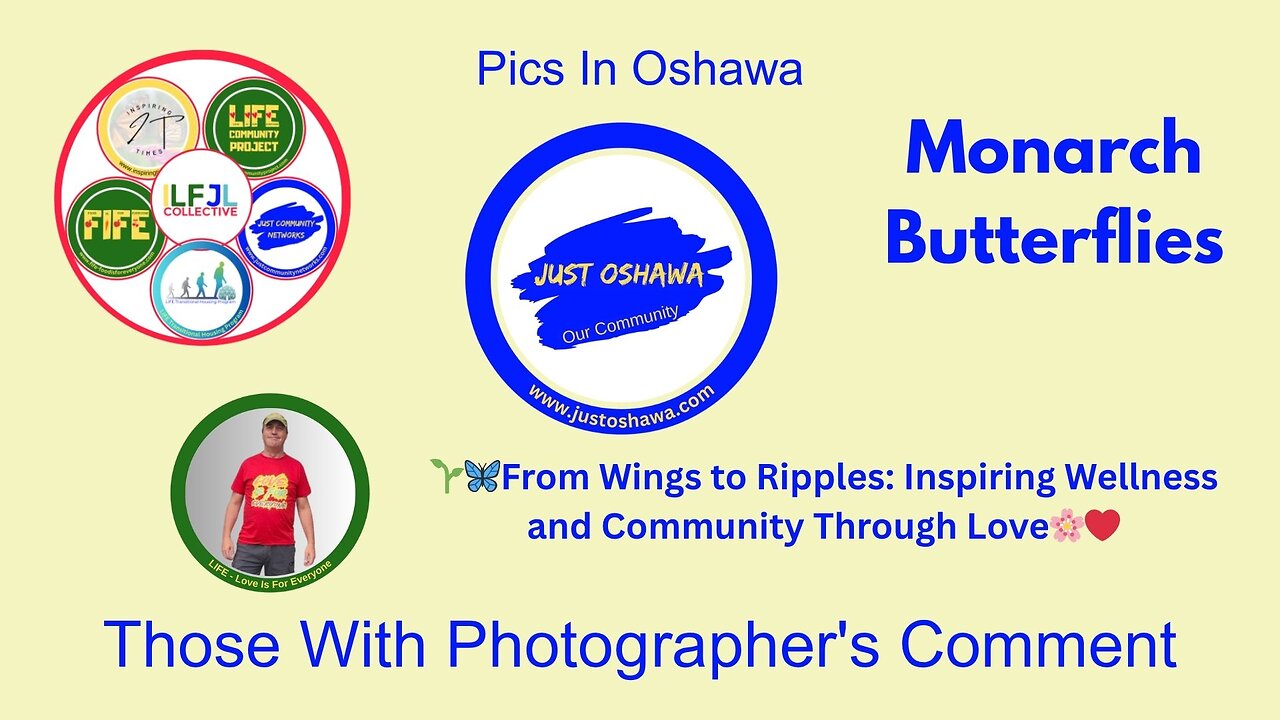 Those With Photographers Comment Monarch Butterflies