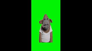 Sock Monkey Dancing | Green Screen #monkey #puppet #funny #relatable #fyp