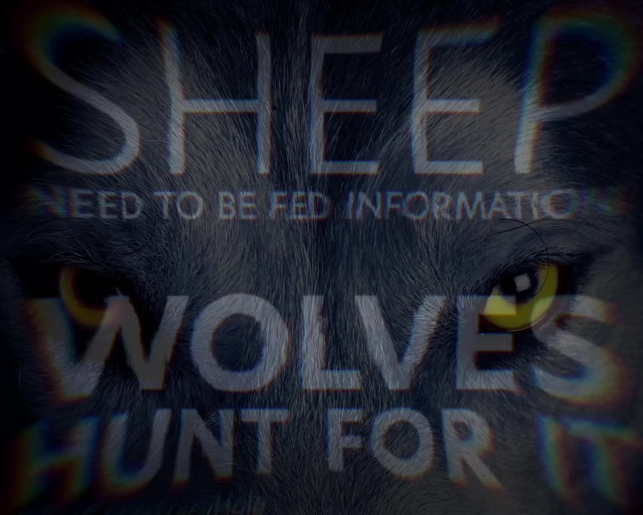 Sheep and Wolves