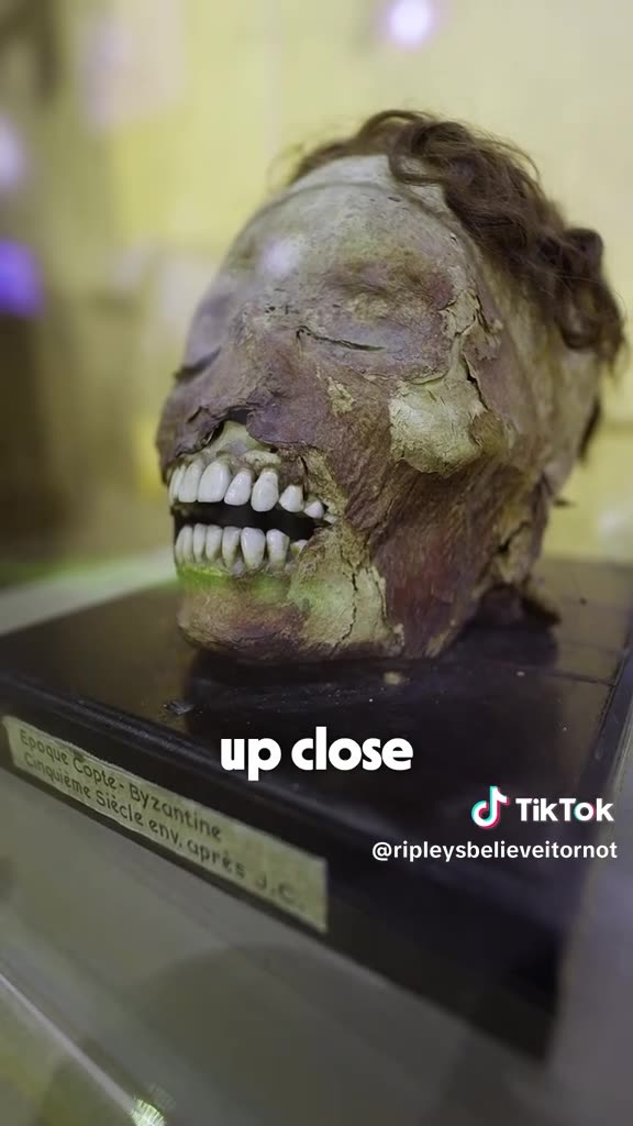This head is over 1,500 years old!